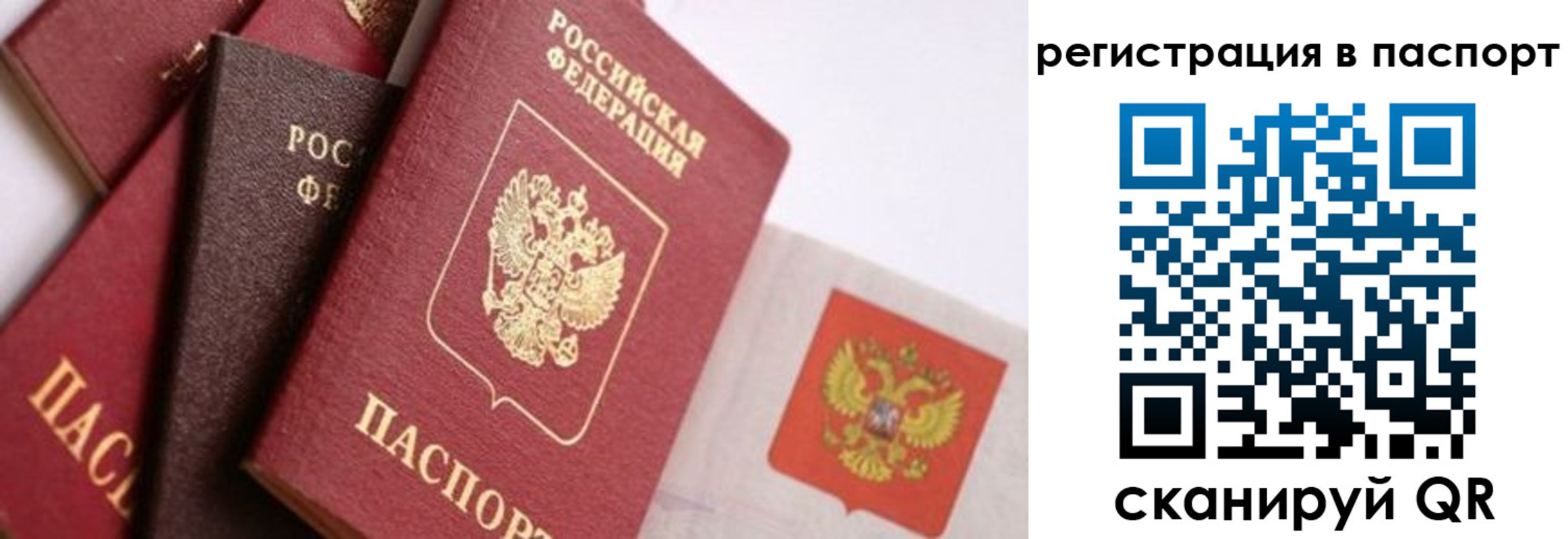 прописка в квартире в Клине